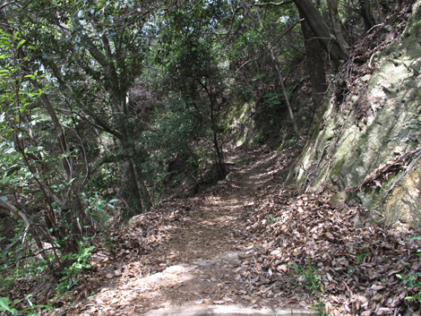 20140602hike (24)